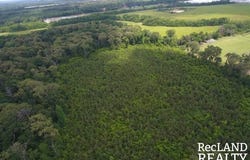 Cooper Lake Road, Bastrop, LA 71220
