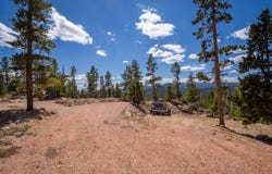 132 Dogrib Ct, Red Feather Lakes, CO 80545