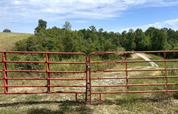 10720 Sackett Road, Licking, MO 65542