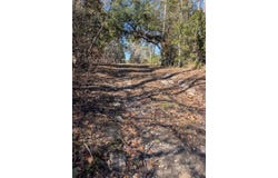 846 Hickory Hammock Rd, Carrabelle, FL 32322