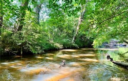 McCarty Dodd Rd., Colbert, GA 30628