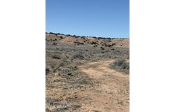 TBD 207-48-153, Sanders, AZ 86512