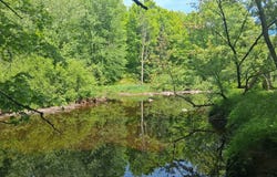 4 County Road T, Tripoli, WI 54564