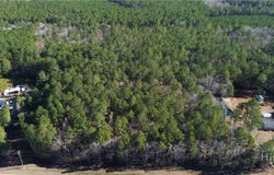 Highway 21 N, Springfield, GA 31329