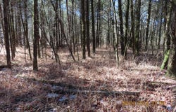 SE 137th RD, Wister, OK 74966