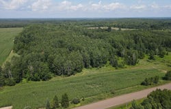 County Road M, Ogema, WI 54459