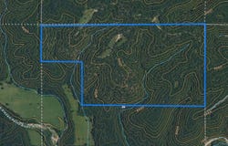 County Road 422-17, Birch Tree, MO 65438