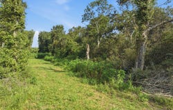 4th St, Mermentau, LA 70556