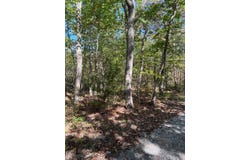 GERTIES LN, STUARTS DRAFT, VA 24477