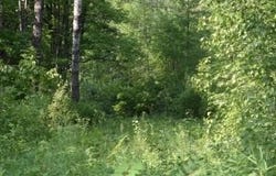 15690 330th Street, McGregor, MN 55760