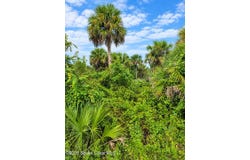 Highway 1, Mims, FL 32754