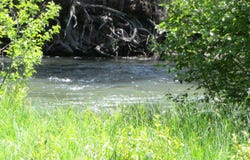 443 Feather River Drive, Chester, CA 96020