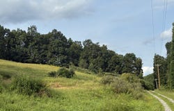 800 Wizardism Run Rd, Salem, WV 26426