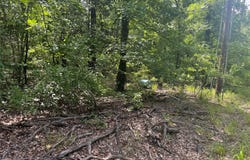 690 Private Road 6926, Eustace, TX 75124