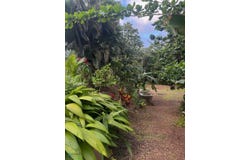 Caimito, San Juan, PR 00926