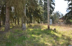 999 W Silberhorn Rd, Sequim, WA 98382