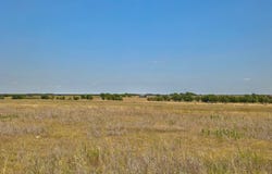 13212 Sandeen Rd, Manor, TX 78653