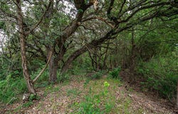 Gholson Road, Waco, TX 76705