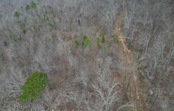 1872 Little Red River Road, Marshall, AR 72650