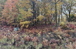 N Circle E lot: # 5, Farwell, MI 48622