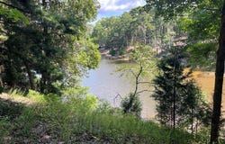 250 Moore Meadow Drive, Georgetown, GA 39854