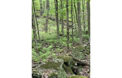 S Royalston Rd, Royalston, MA 01368