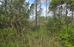 1845 Beacon St, Carrabelle, FL 32322