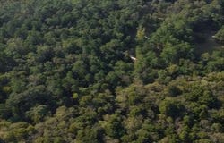 Alford, FL 32420
