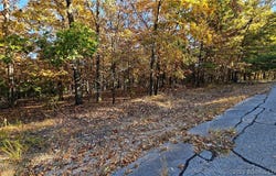 Muirfield Drive lot: #785, Sunrise Beach, MO 65079