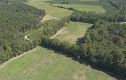 Hudson Street, Lamar, SC 29069