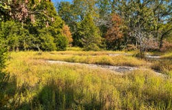 Forest Road 2539, Belleview, MO 63623