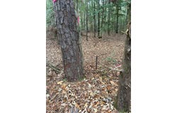 1779 County Road 54, Ozark, AL 36360