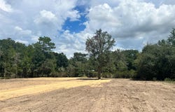 7731 NE 97TH Court, BRONSON, FL 32621