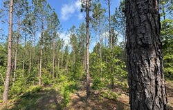 PARKER ISLAND Road, EQUALITY, AL 36026