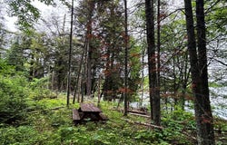 ON PARDEE LAKE RD, Oma, WI 54534