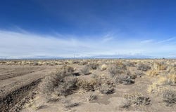 001 Apache Tear Drive, Alamosa, CO 81101