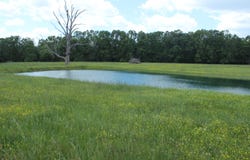 W Highway, Thayer, MO 65791