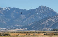 3223 Durston Road, Bozeman, MT 59718