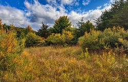 Parcel 3 / 4 E Darga Road, Cedar, MI 49621