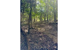 Pine Drive lot: 39, Garfield, AR 72732