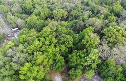 2156 OLD HICKORY TREE Road, ST CLOUD, FL 34772