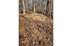 000 Moonshine Pass, Salem, MO 65560