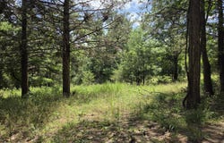 Green Briar Drive, Branson, MO 65616