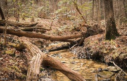 Ferguson Road, Chapel Hill, NC 27516