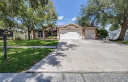 17012 FALCONRIDGE Road, LITHIA, FL 33547