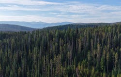 Copperhead Rd, Dixie, ID 83525
