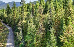 302 Griffith Creek Road, Eureka, MT 59917