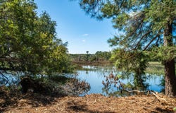 Wadmalaw Island, SC 29487