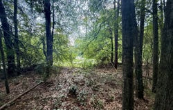 Mrytle St, Daleville, AL 36322