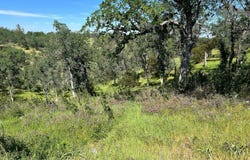 16298 Lariat Loop, Corning, CA 96021